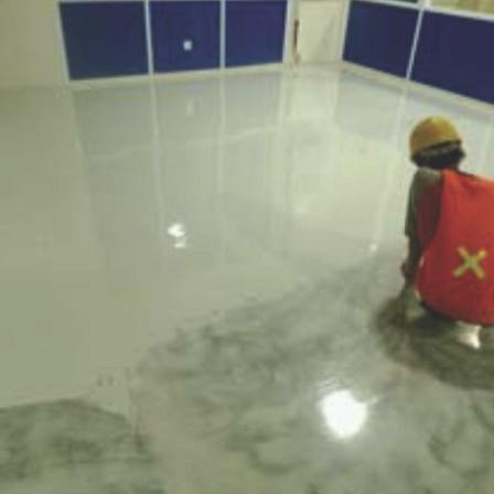 IMG-20250221-WA0068copy