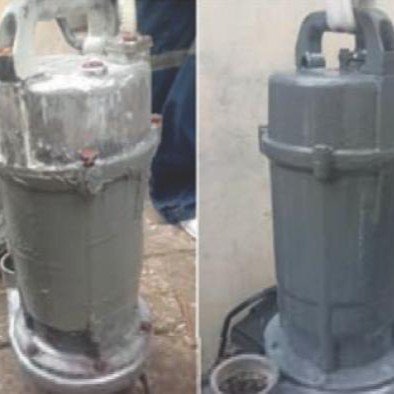 IMG-20250221-WA0073cp